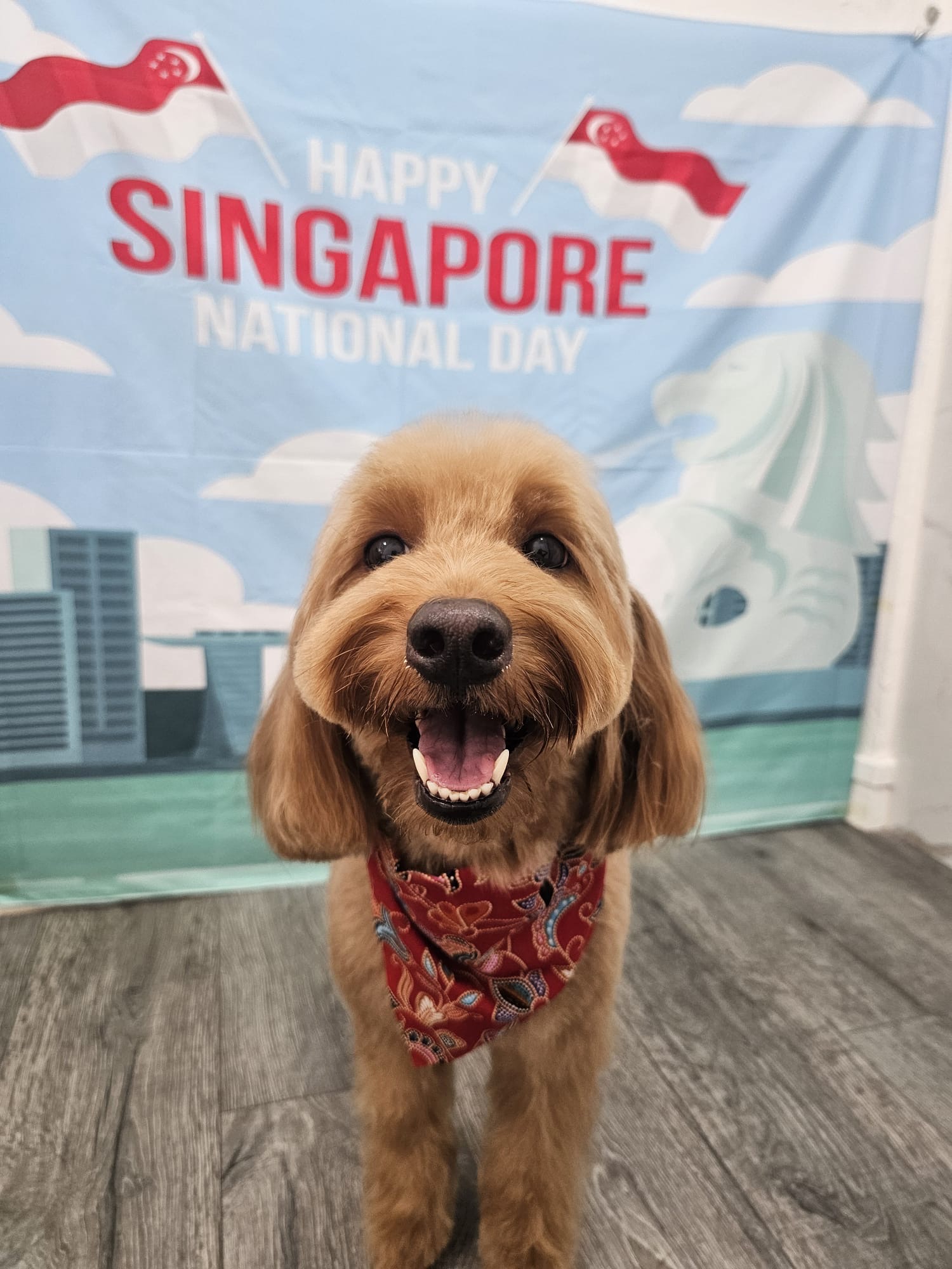 Singapore National Day session